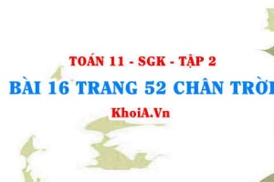 Bài 16 trang 52 Toán 11 Tập 2 Chân trời sáng tạo